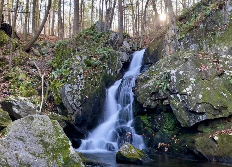 Chester-Blandford State Forest, Massachusetts, USA